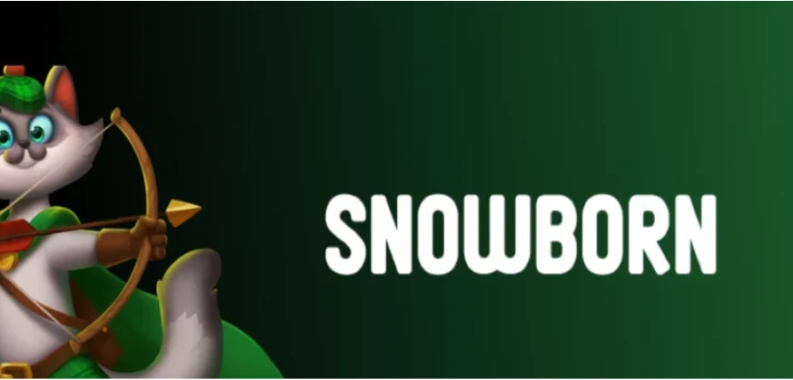 Snowborn Games: Nordic Market Analysis 2025